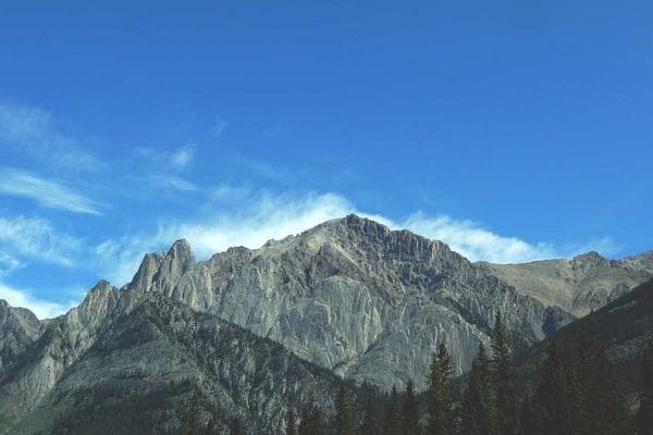 Mobile app interface